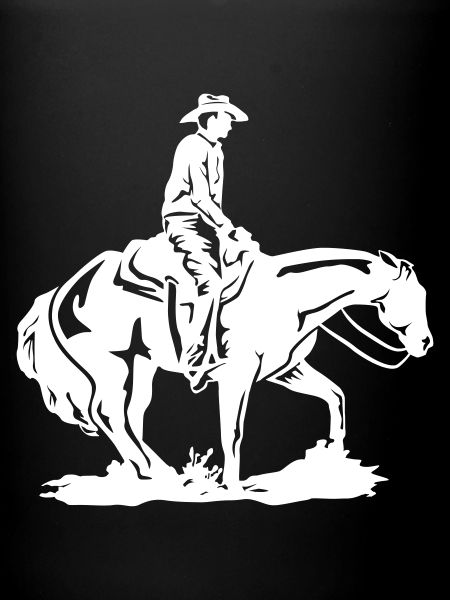 Reining Spin