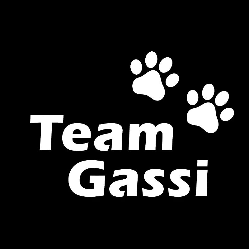 Team Gassi