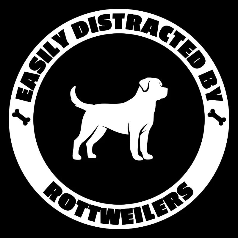 Easily distracted by Rottweilers