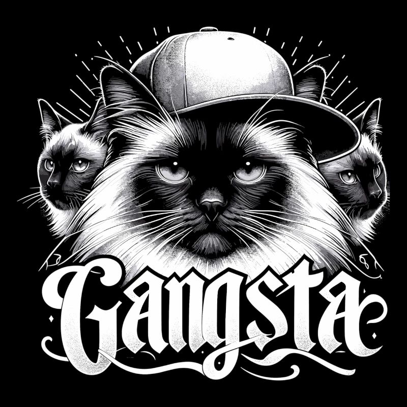 Sacred Birman Cat Birman Cat Trio Gangsta Gesche