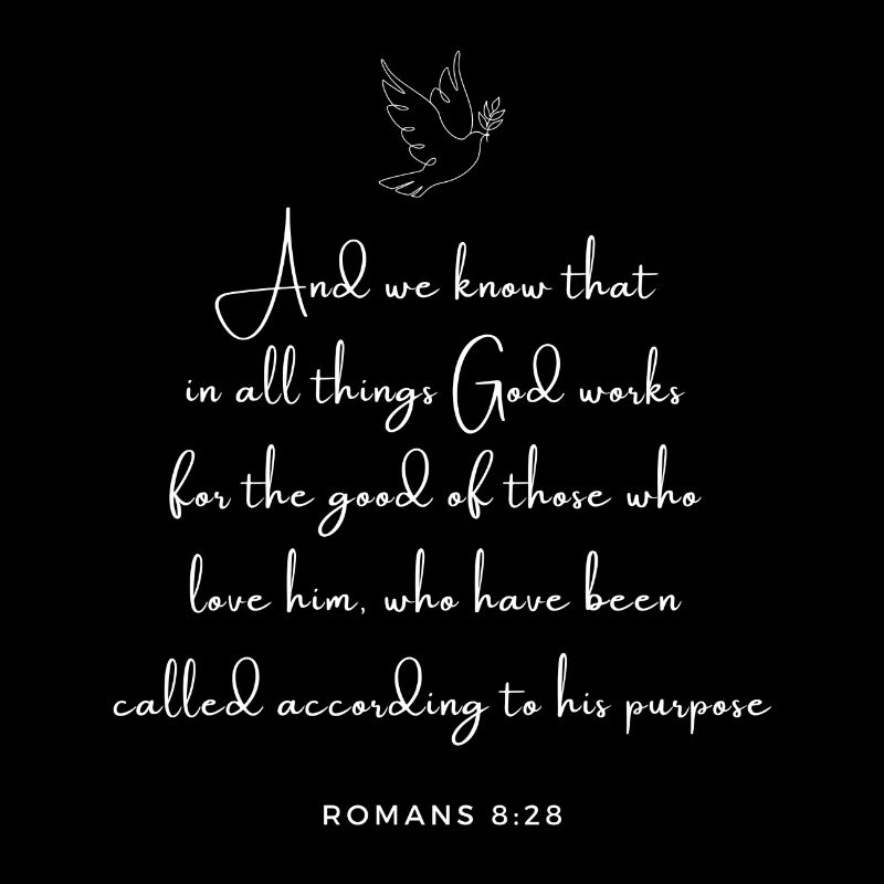 Romans 8:28 - Bible New Testament