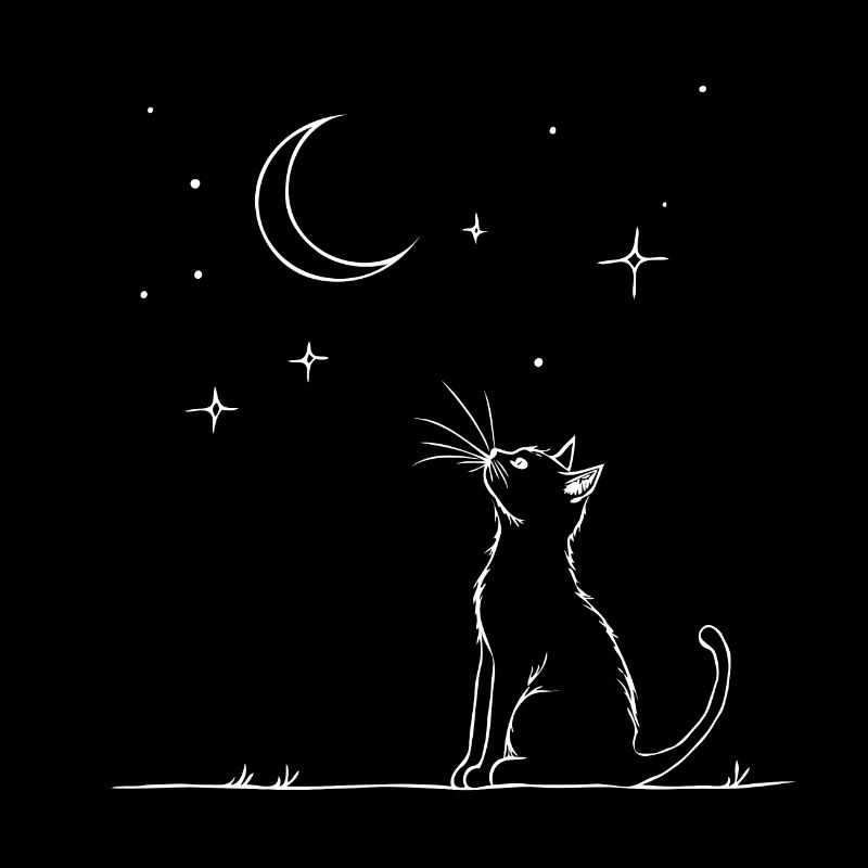 Chat de rêve à la lumière des étoiles