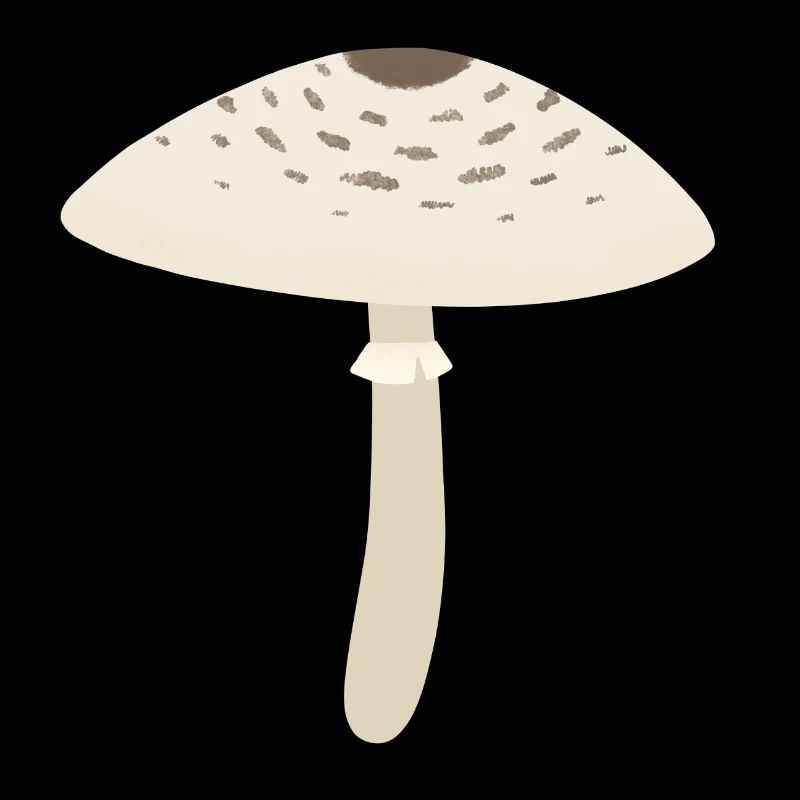 Parasol Champignon
