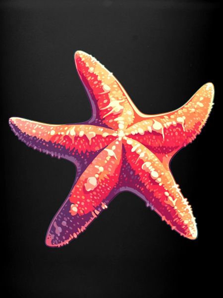 Starfish Starfish