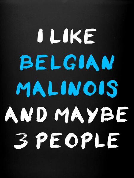 Belgium Malinois