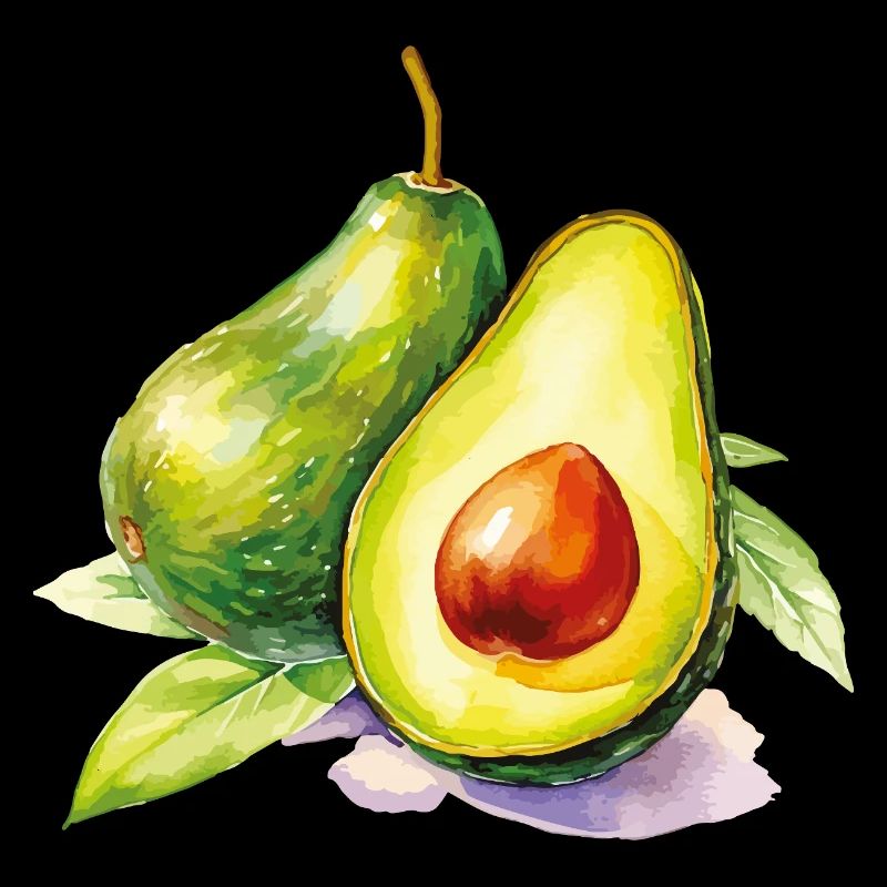 Fraîcheur de l’avocat aquarelle