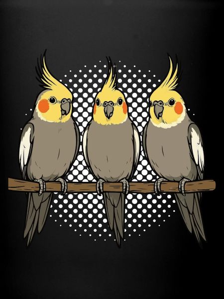 Calopsitte Calopsitte Calopsitte Oiseau calopsitte