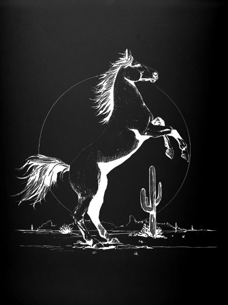 Desert Stallion Silhouette