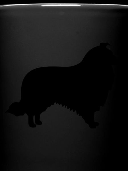Collie