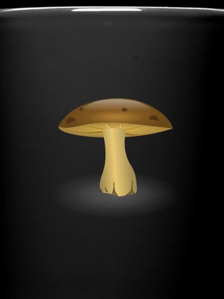 Champignon
