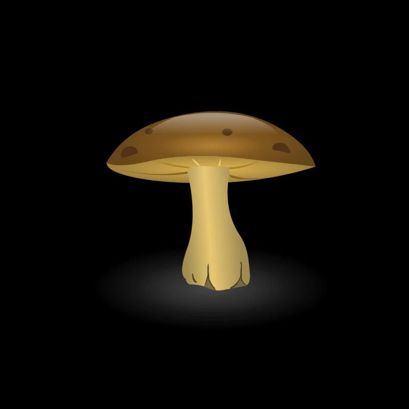 Champignon