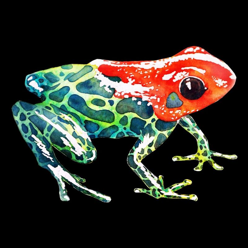 Frosch mit rotem Kopf