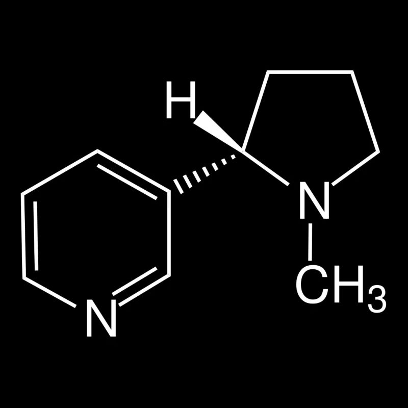 Nicotine structural formula
