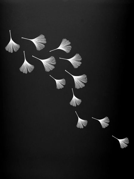 Ginko wave