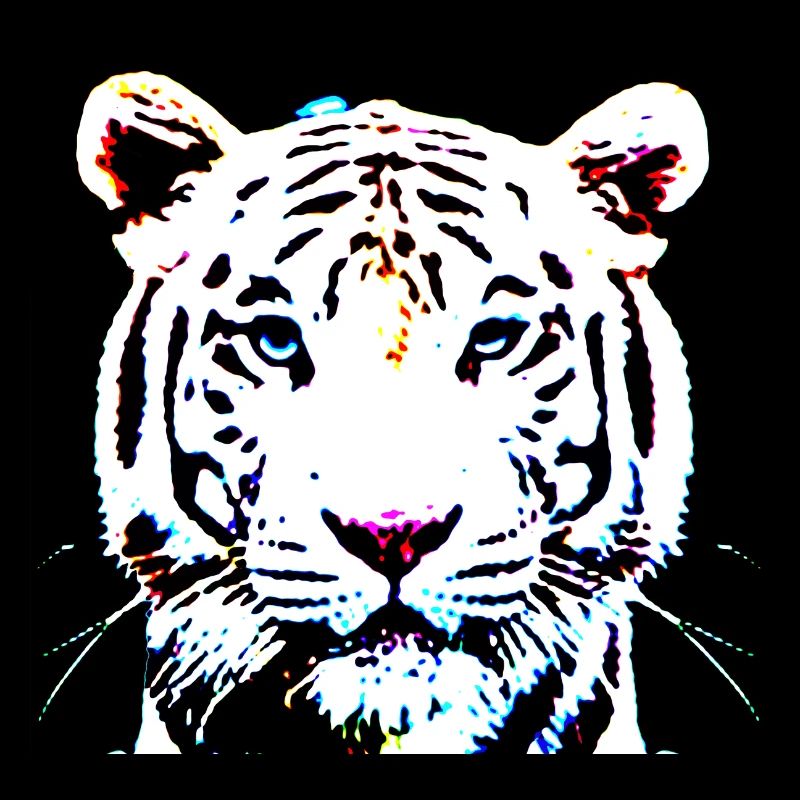 Tigre blanc