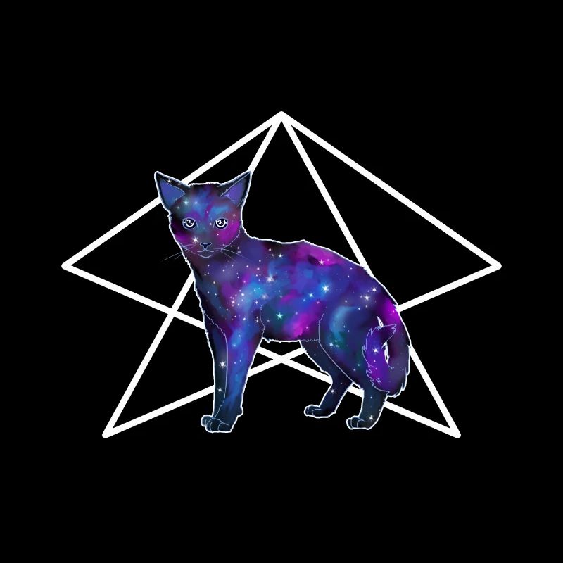 Galaxy Cat Halloween Witch Geschenk Katze