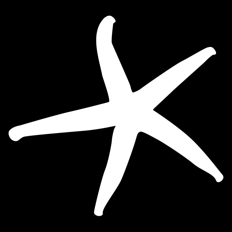 starfish