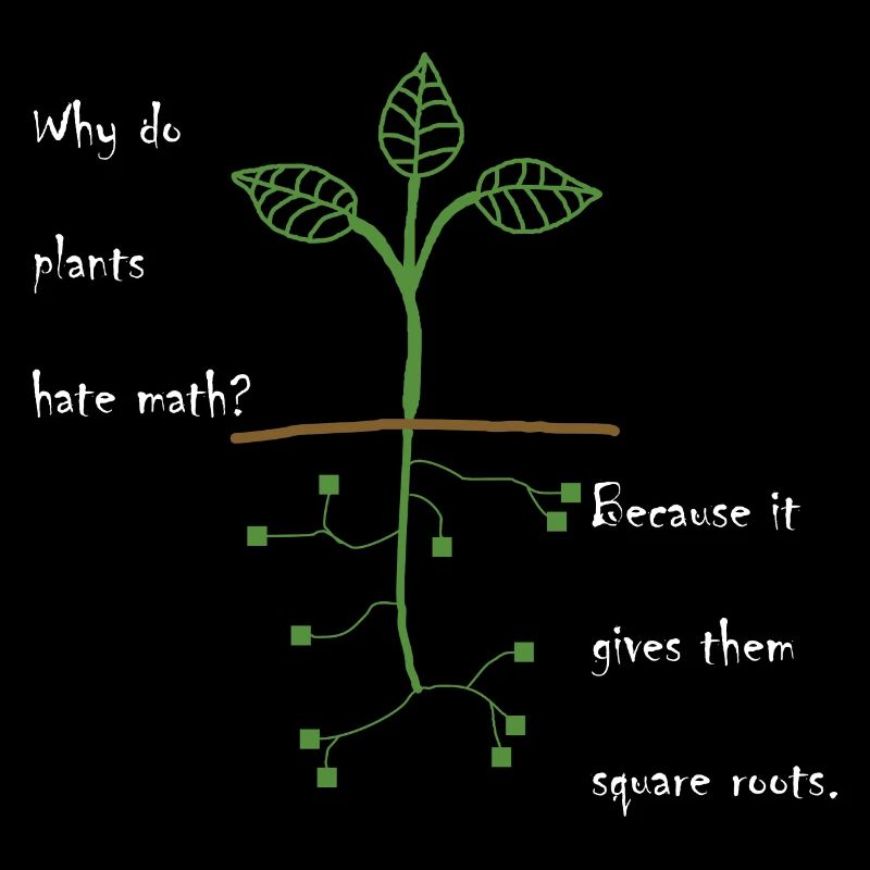 Why do plants hate math joke