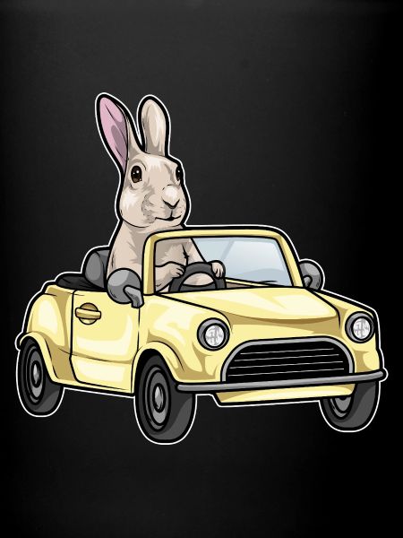 Voiture Lapin