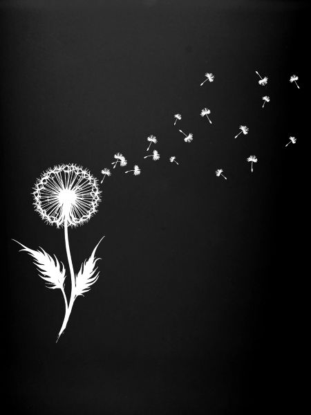 Dandelion Seed Silhouette