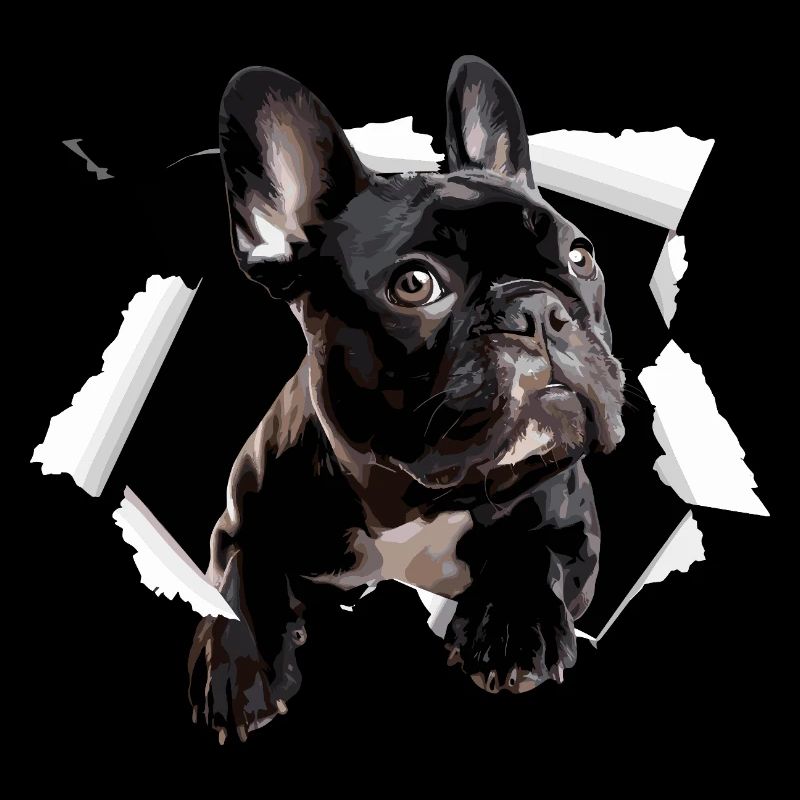 Percée du bouledogue français Drôle