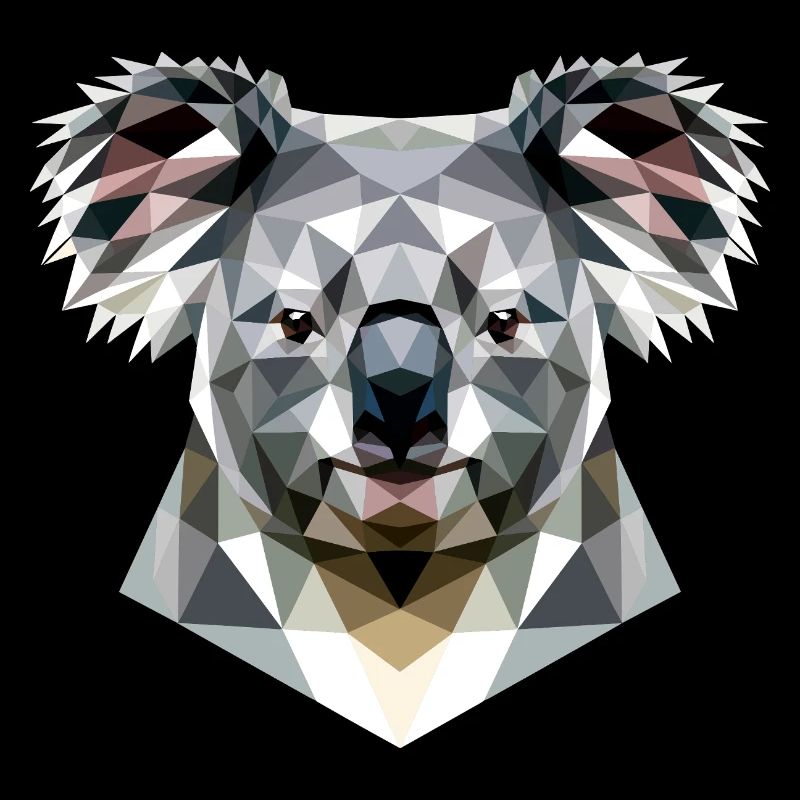 Koala Bär Australien Koalabär Süße Koala Bären