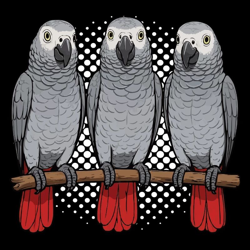 Perroquet gris d'Afrique propriétaire de perroquet gardien de perroquet