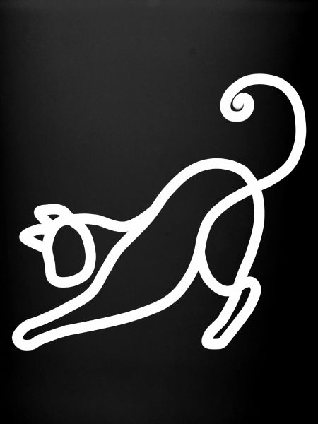 Minimalist Cat