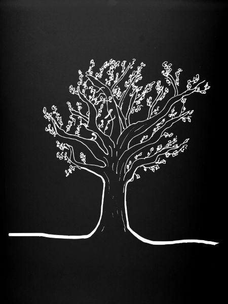 Arbre en blanc