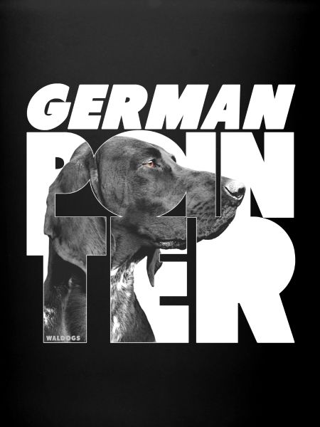 German Pointer I