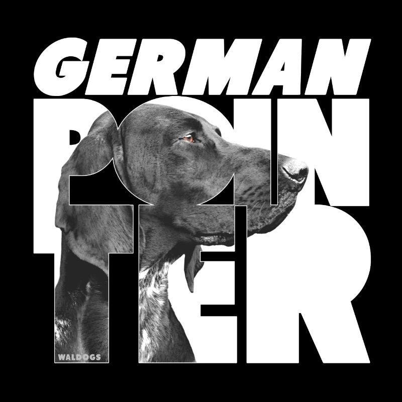German Pointer I