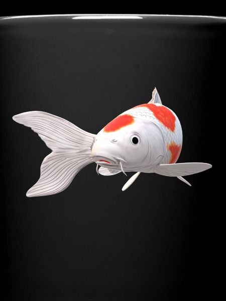3D Koi