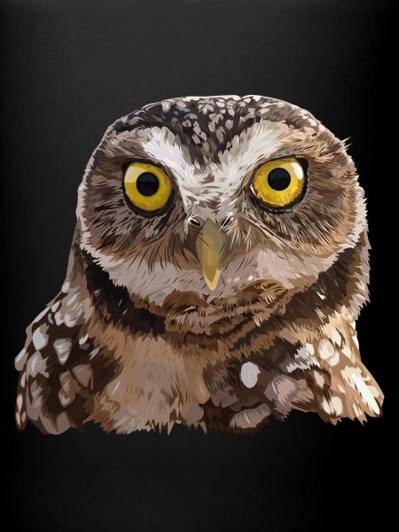 Burrowing Owl