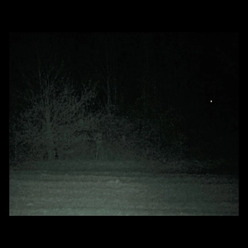 Créature effrayante dans la forêt