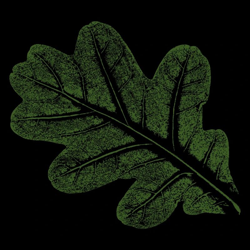 Oak leaf