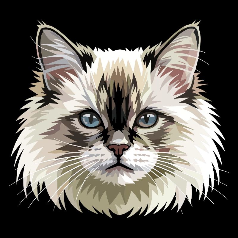 Birman Cat Sacred Birman Cat Cute Birman Cats