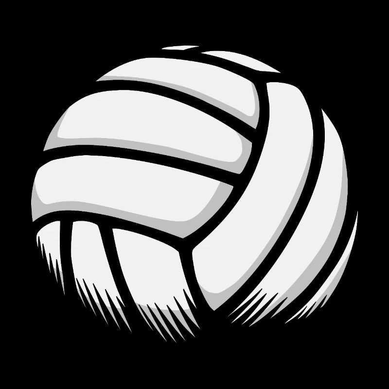 Volley-balle de plage Volley-ball