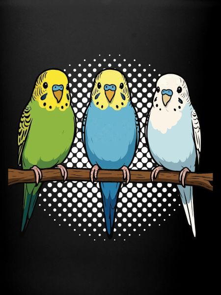 Budgerigars Budgie Owners Budgies