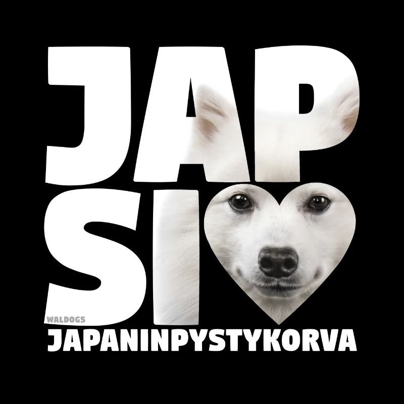 Spitz Japonais NASSU I
