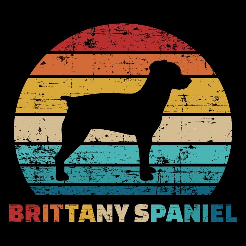 Brittany Spaniel