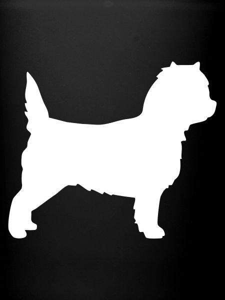 Cairn Terrier