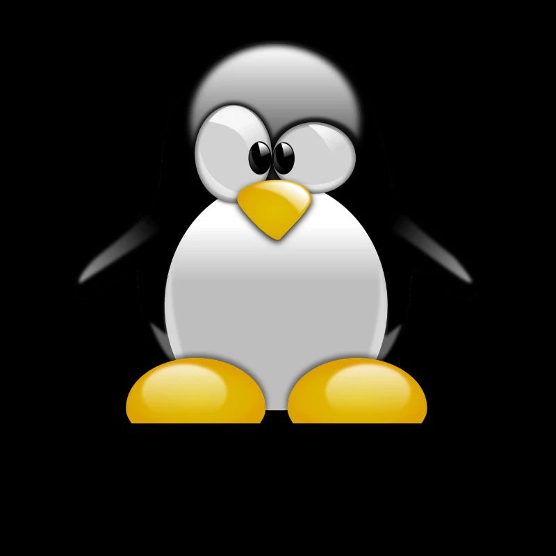 Sudo rm -rf / Programmeur Tux Spruch Cadeau