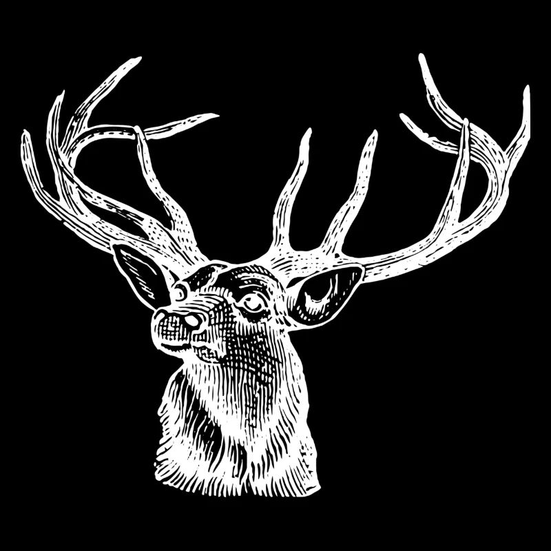 Deer Moose Antler Deer Head Hunter