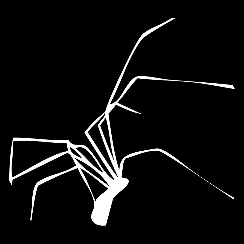 spinne