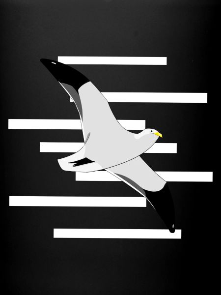 Fly-on seagull