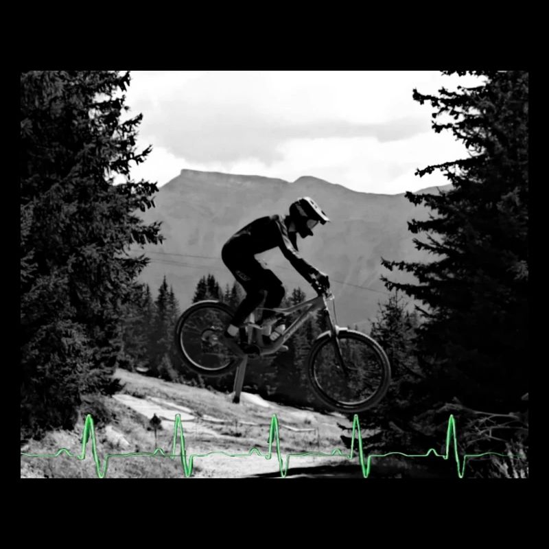 MTB Downhill