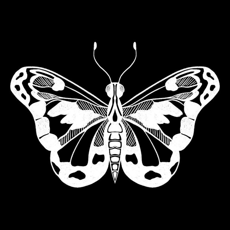 Papillon Design minimal