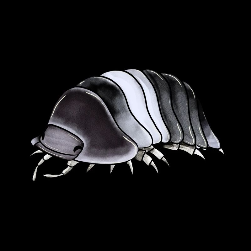 Isopode cubaris panda roi