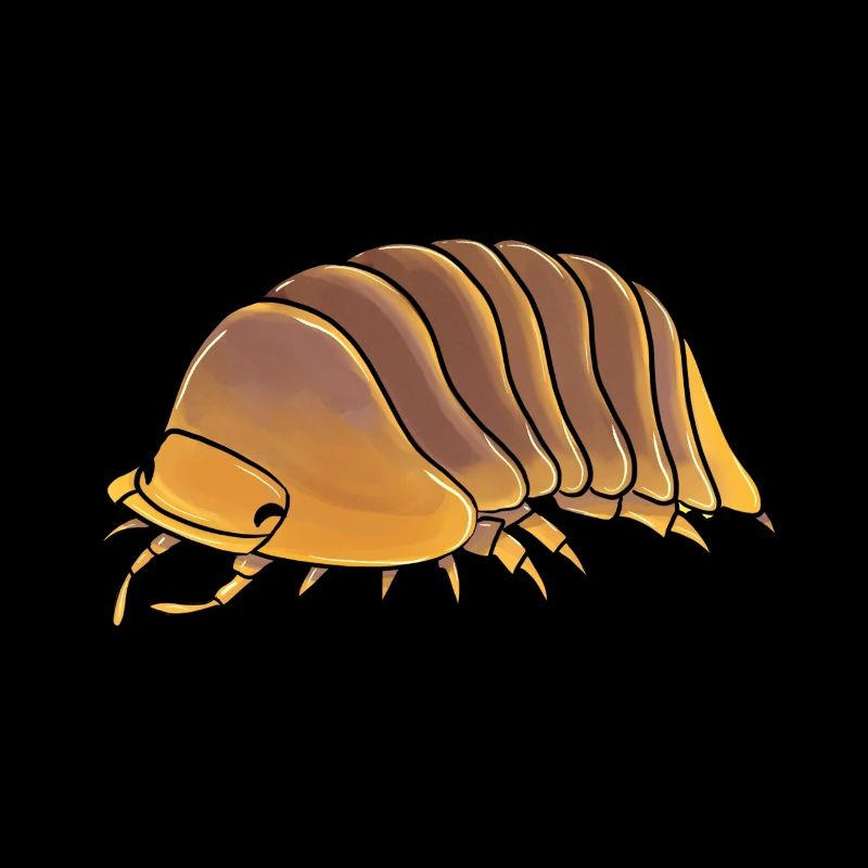 Isopode cubaris sp jupiter