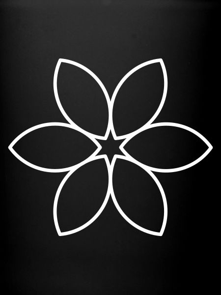 Plain White Flower